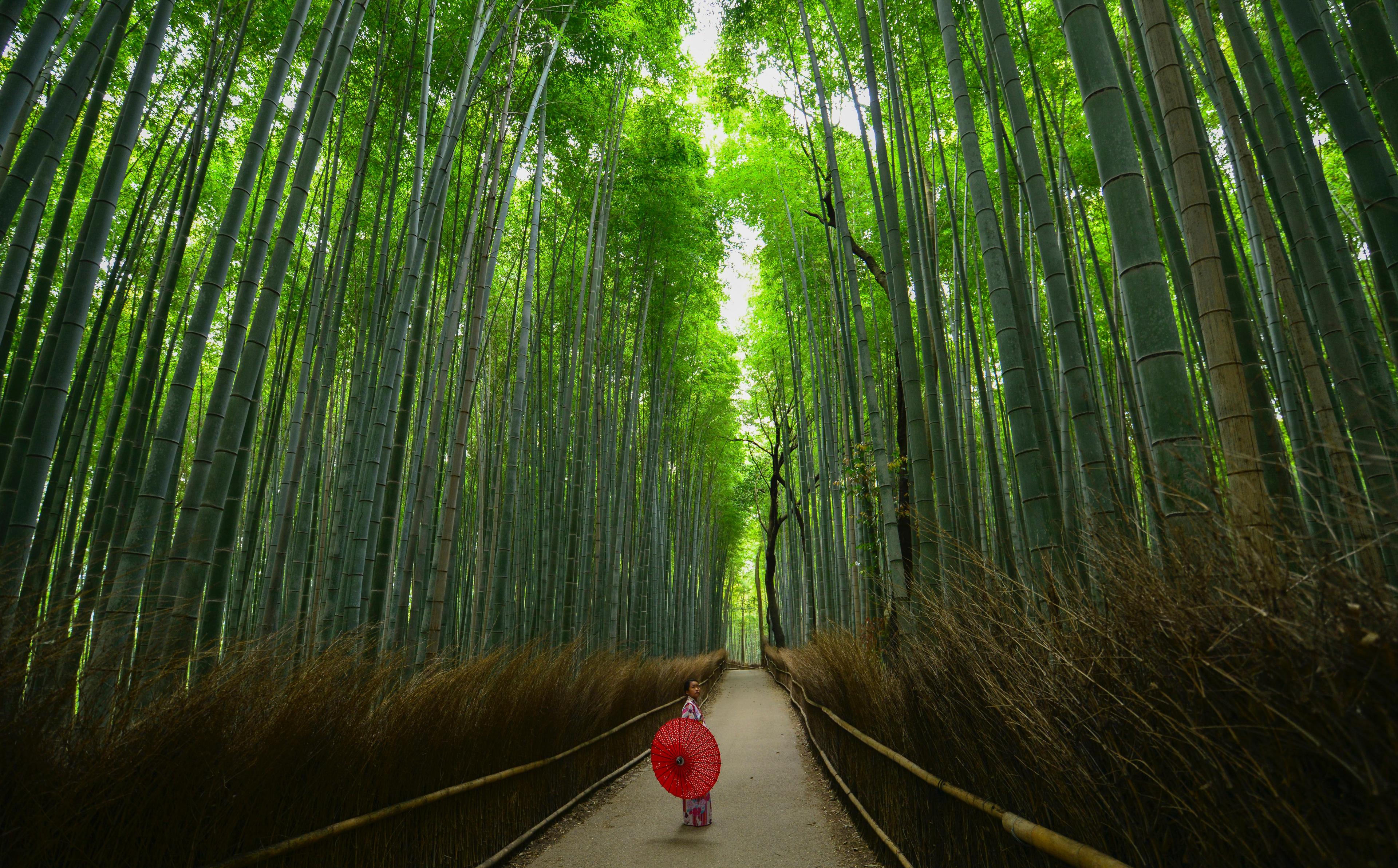 Ancient Temples & Sacred Sites: Japan - March 14, 2023 with Regent Seven Seas - background banner
