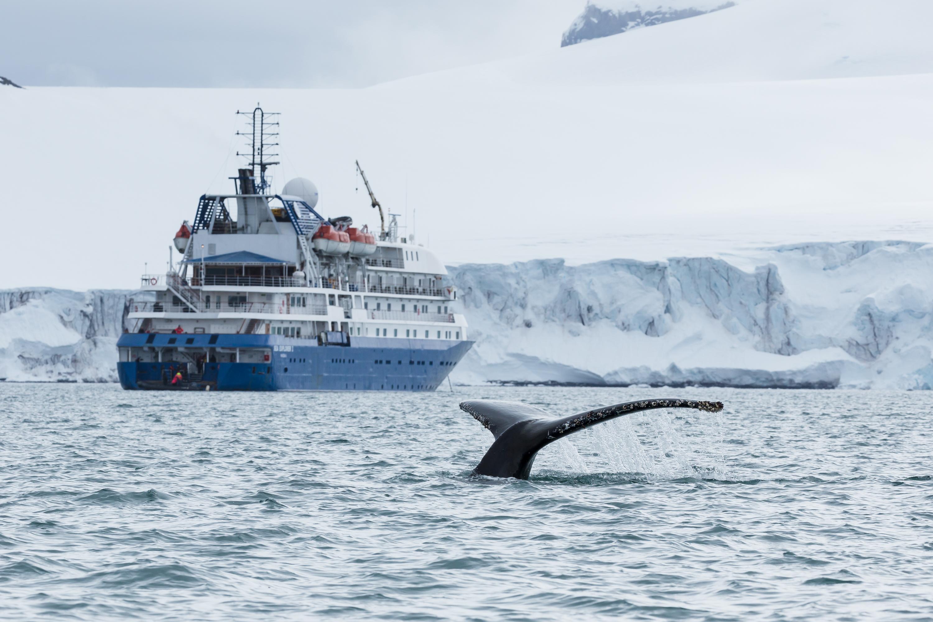 Small Ship Cruise Experience vs. Ocean Ship Cruise Experience - background banner