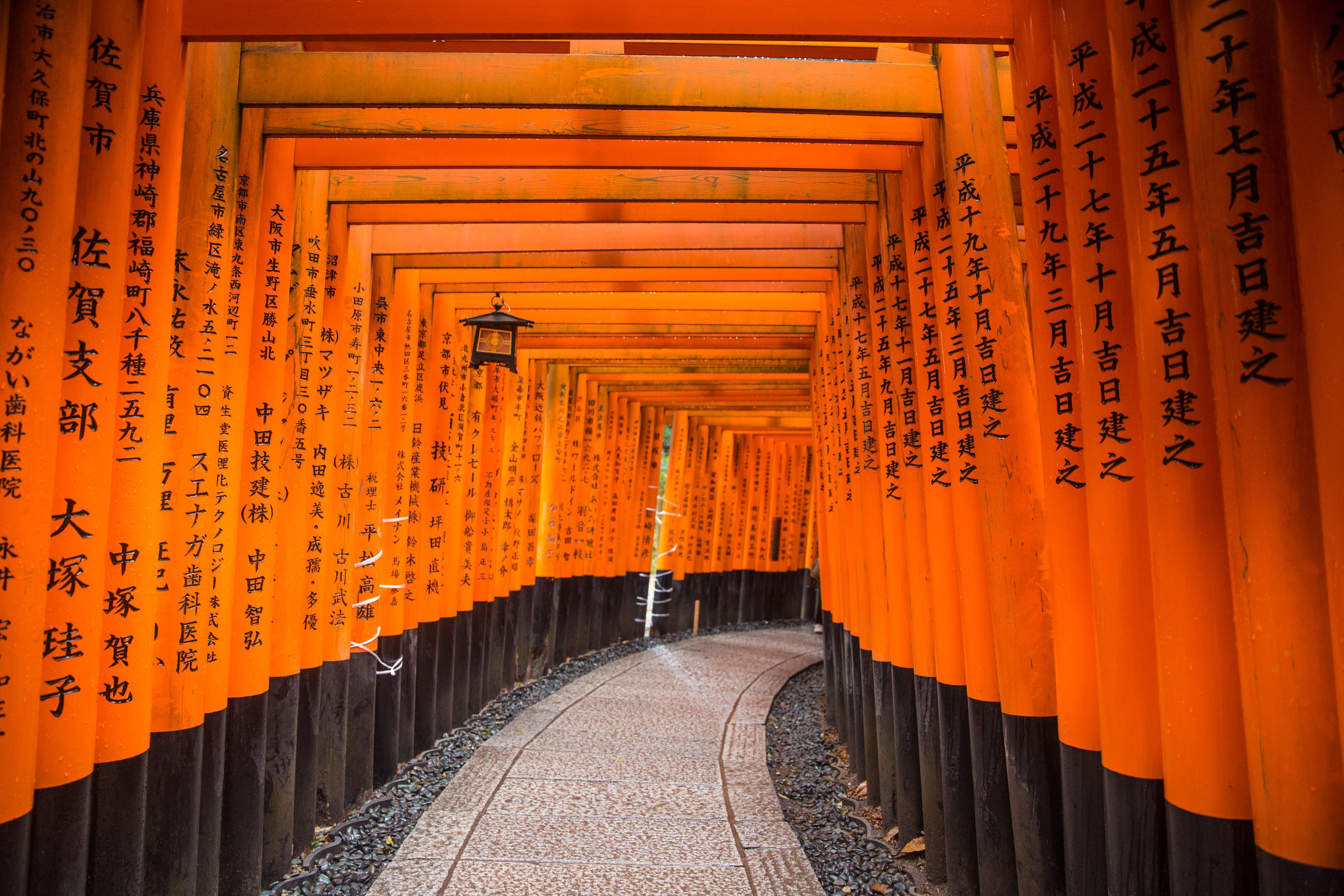 Japan National Tourism Association: Winter in Japan - background banner
