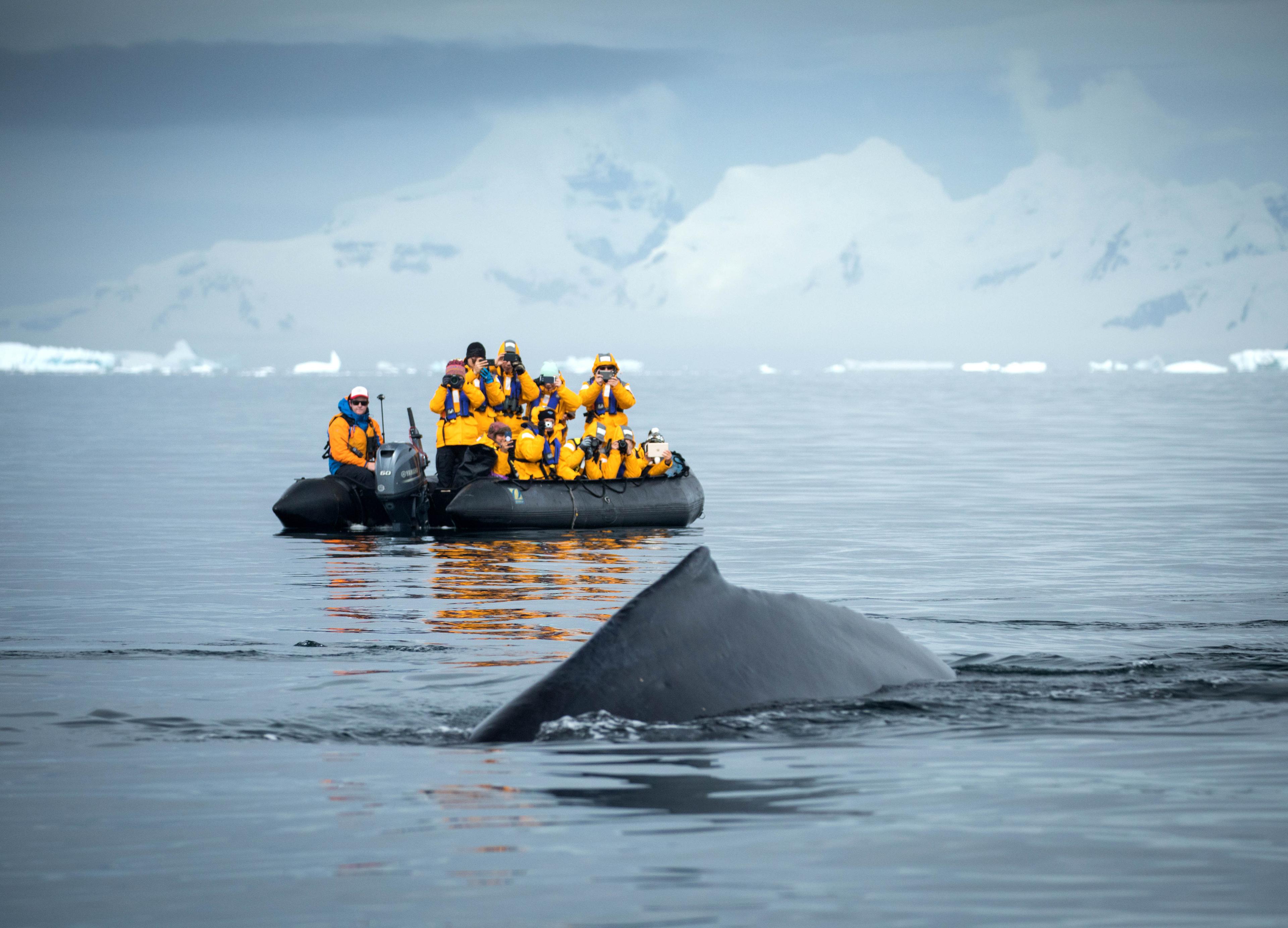 What to Pack for Antarctica Travel